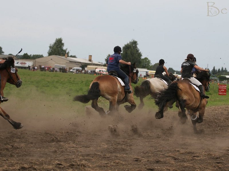 20130818_140833_IMG_0438_Canon EOS 30D.jpg